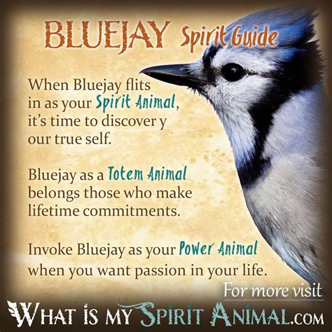 spiritual meaning of blue jays.